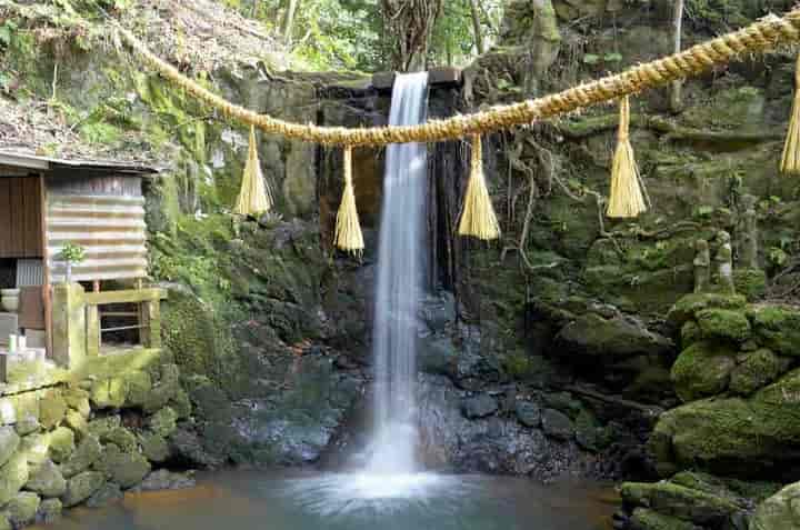 �䗘�����s���̑�